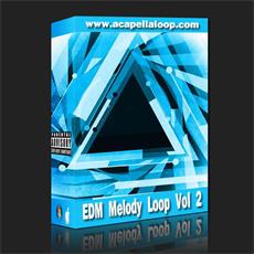 旋律素材/EDM Melody Loop Vol 2